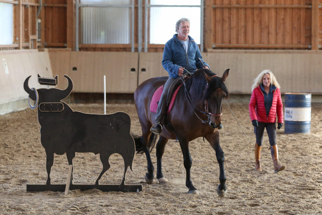 Andrea Jänisch Working Equitation