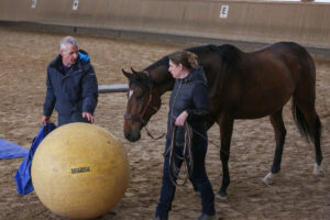 Gelassenheitstraining mit Rainer Kuboschek