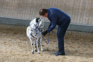 Richard Hinrichs und Mini Pony Max in Luxemburg