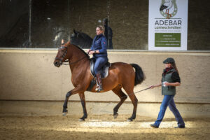 BRL Reitkurs mit Victoria Haack