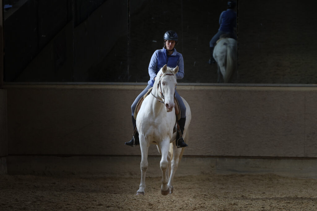 BRL Reitkurs mit Victoria Haack