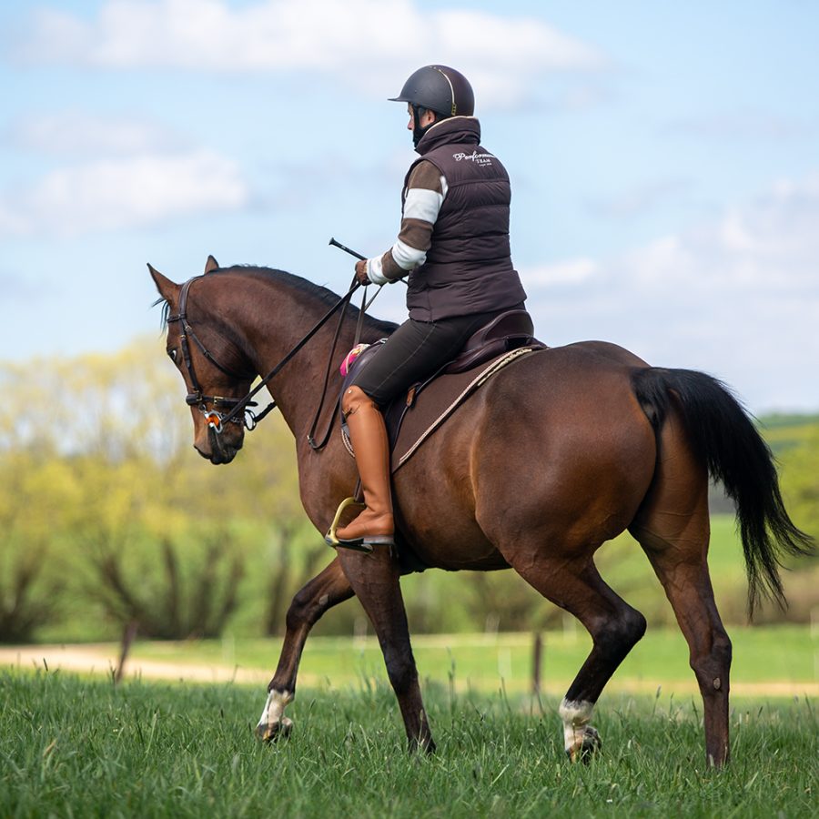 Barockreider Lëtzebuerg Freude am Reiten