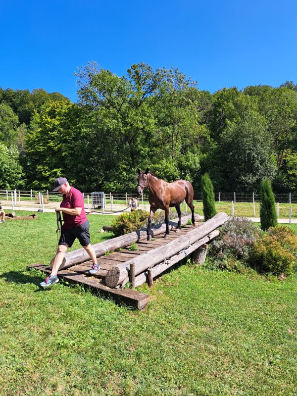 Barockreiter go Extreme Trail